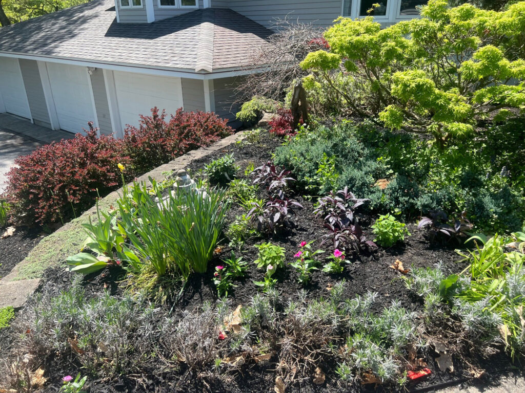 Garden Bonanza Transformation in Nashua, NH