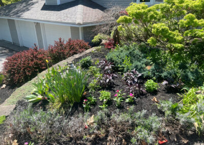 Garden Bonanza Transformation in Nashua, NH