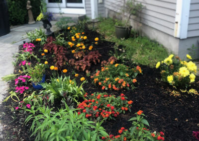 Garden Bonanza Transformation in Nashua, NH
