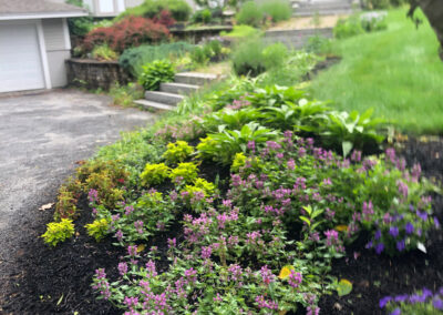 Garden Bonanza Transformation in Nashua, NH