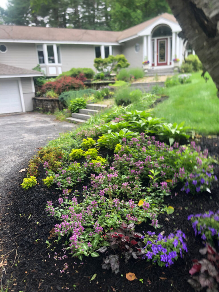 Garden Bonanza Transformation in Nashua, NH