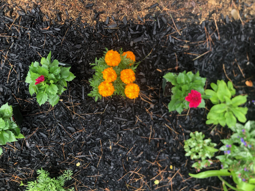 Garden Bonanza Transformation in Nashua, NH