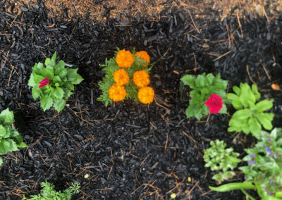 Garden Bonanza Transformation in Nashua, NH