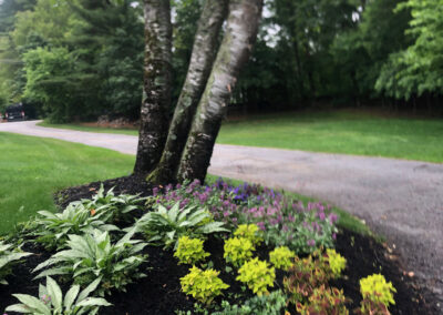 Garden Bonanza Transformation in Nashua, NH