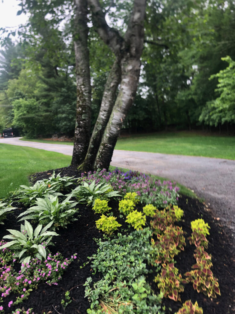 Garden Bonanza Transformation in Nashua, NH