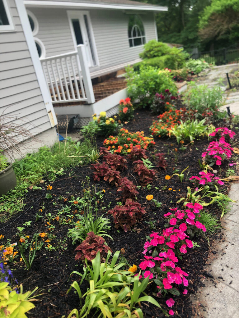 Garden Bonanza Transformation in Nashua, NH
