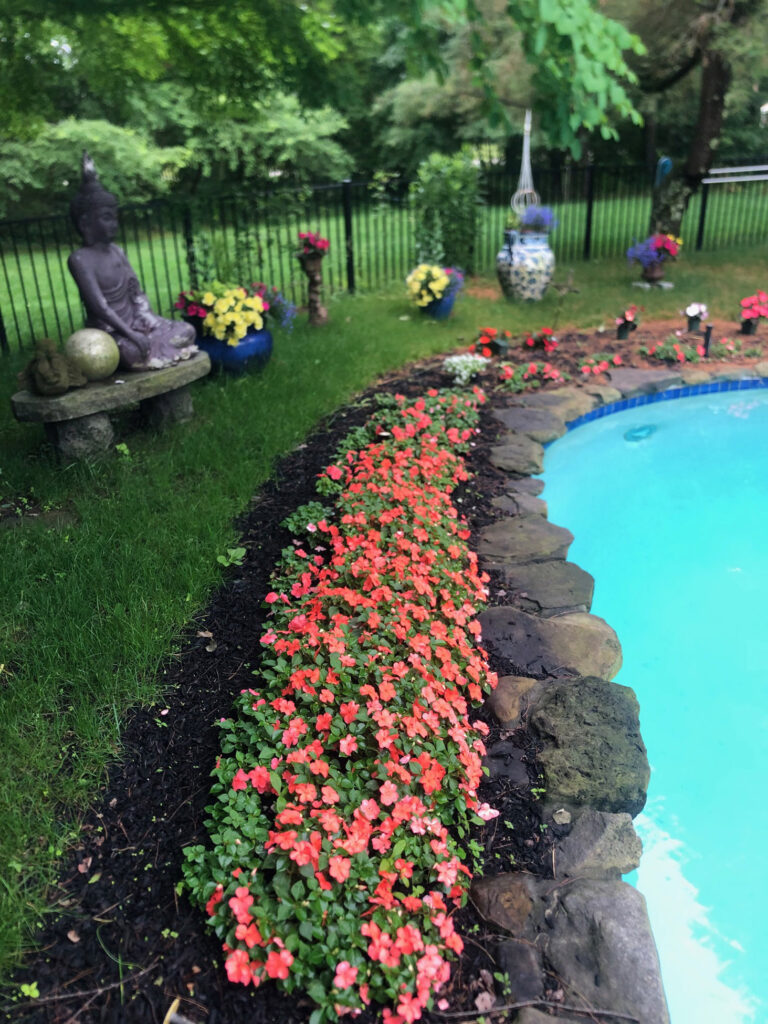 Garden Bonanza Transformation in Nashua, NH