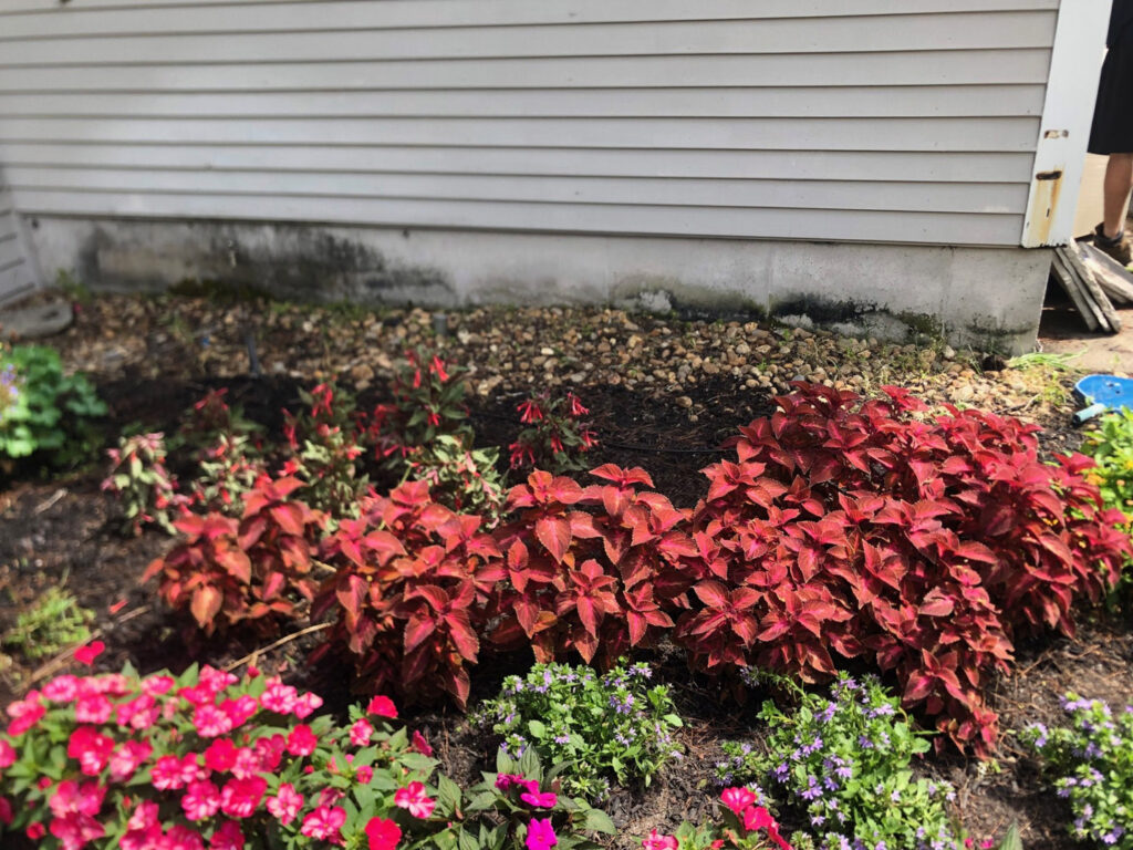 Garden Bonanza Transformation in Nashua, NH