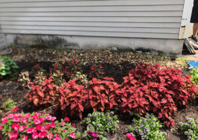 Garden Bonanza Transformation in Nashua, NH