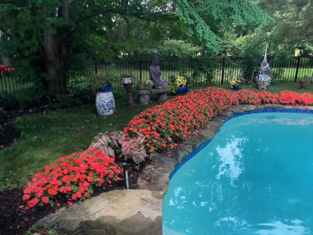 Garden Bonanza Transformation in Nashua, NH