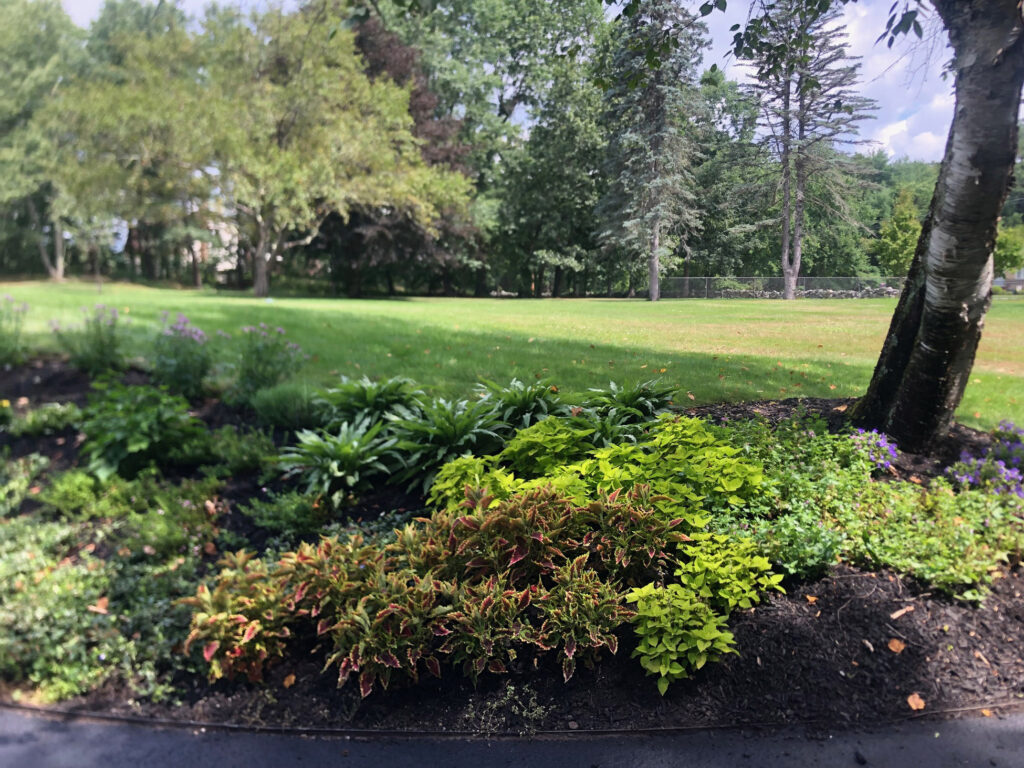 Garden Bonanza Transformation in Nashua, NH
