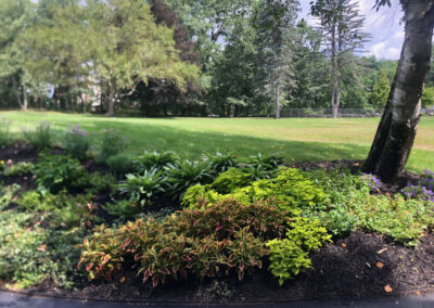 Garden Bonanza Transformation in Nashua, NH