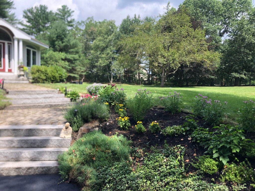 Garden Bonanza Transformation in Nashua, NH