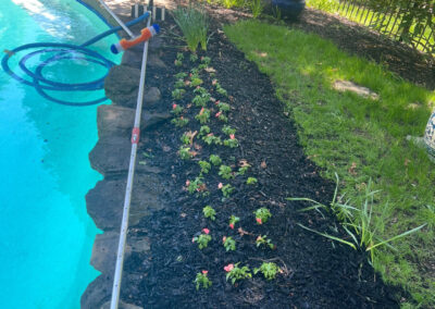 Garden Bonanza Transformation in Nashua, NH