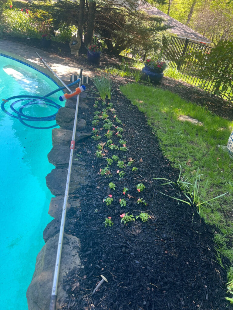 Garden Bonanza Transformation in Nashua, NH