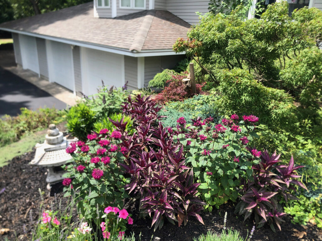 Garden Bonanza Transformation in Nashua, NH