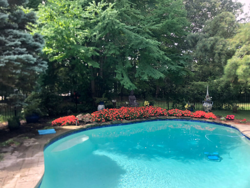 Garden Bonanza Transformation in Nashua, NH