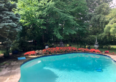 Garden Bonanza Transformation in Nashua, NH