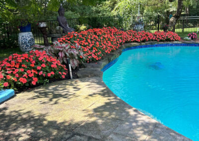 Garden Bonanza Transformation in Nashua, NH