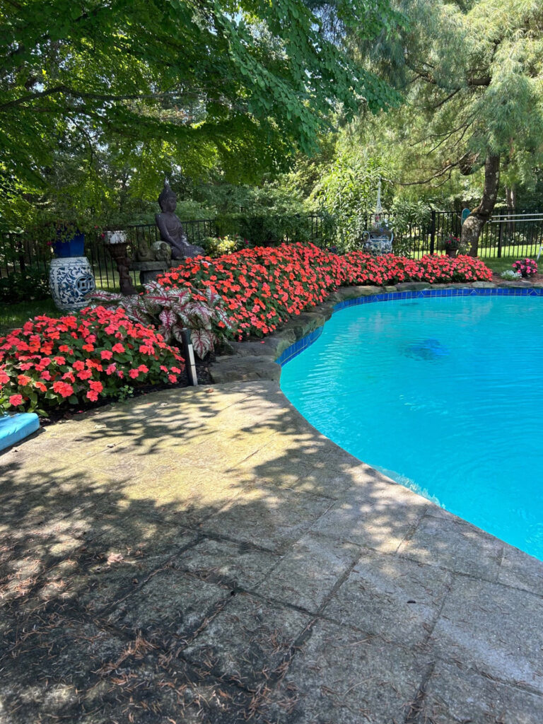 Garden Bonanza Transformation in Nashua, NH