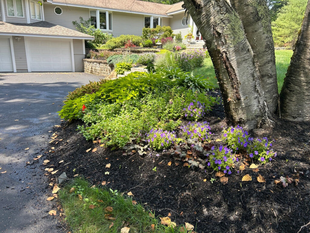Garden Bonanza Transformation in Nashua, NH