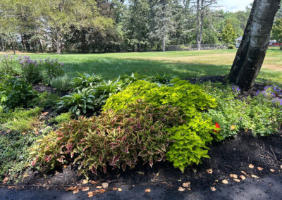 Garden Bonanza Transformation in Nashua, NH