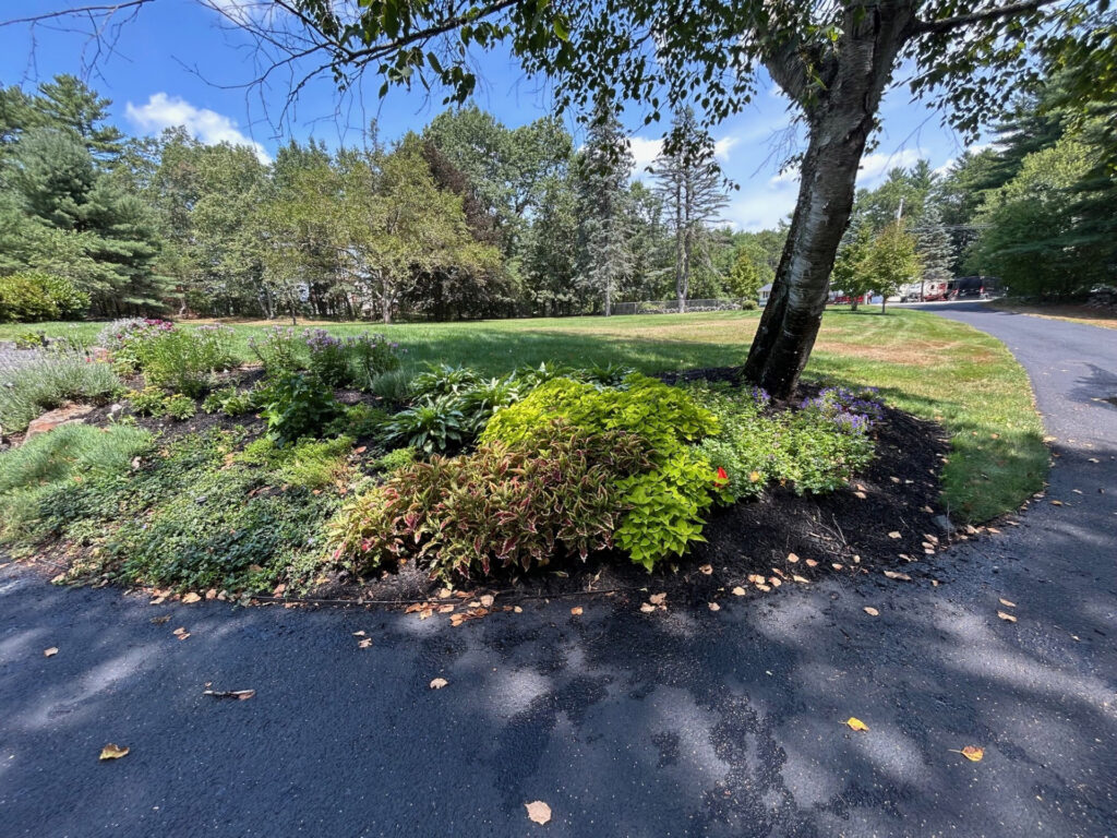 Garden Bonanza Transformation in Nashua, NH