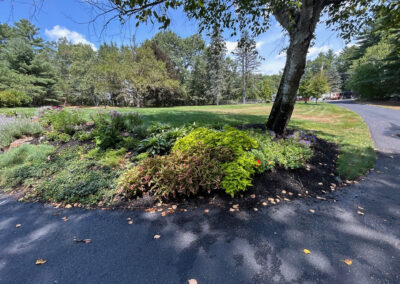 Garden Bonanza Transformation in Nashua, NH