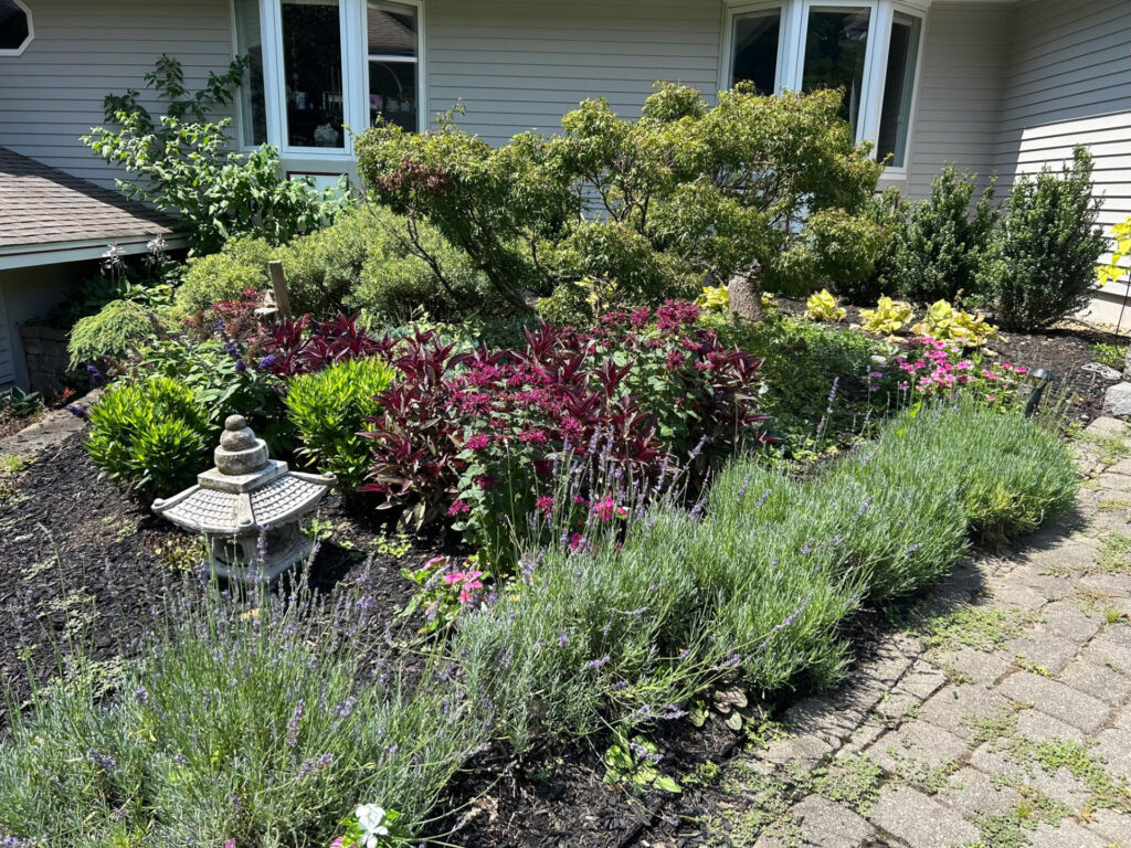 Garden Bonanza Transformation in Nashua, NH