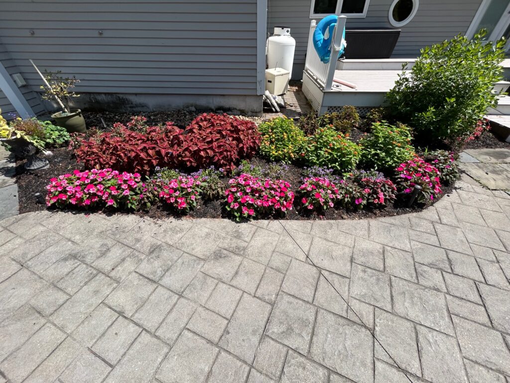 Garden Bonanza Transformation in Nashua, NH