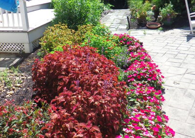 Garden Bonanza Transformation in Nashua, NH