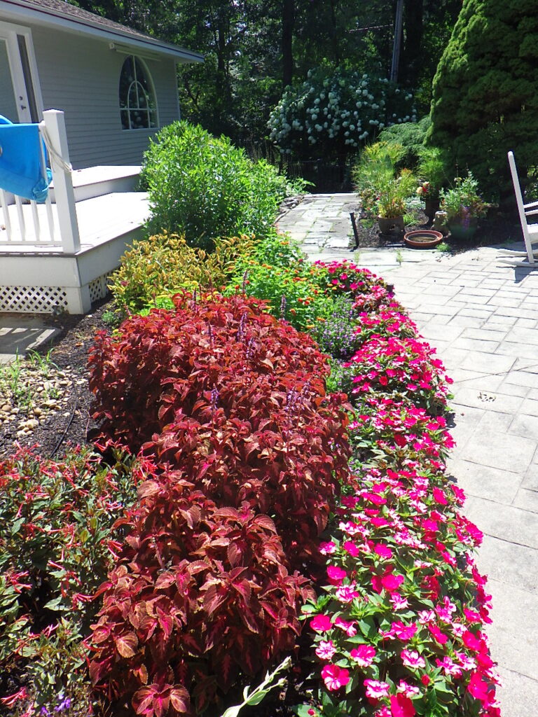 Garden Bonanza Transformation in Nashua, NH