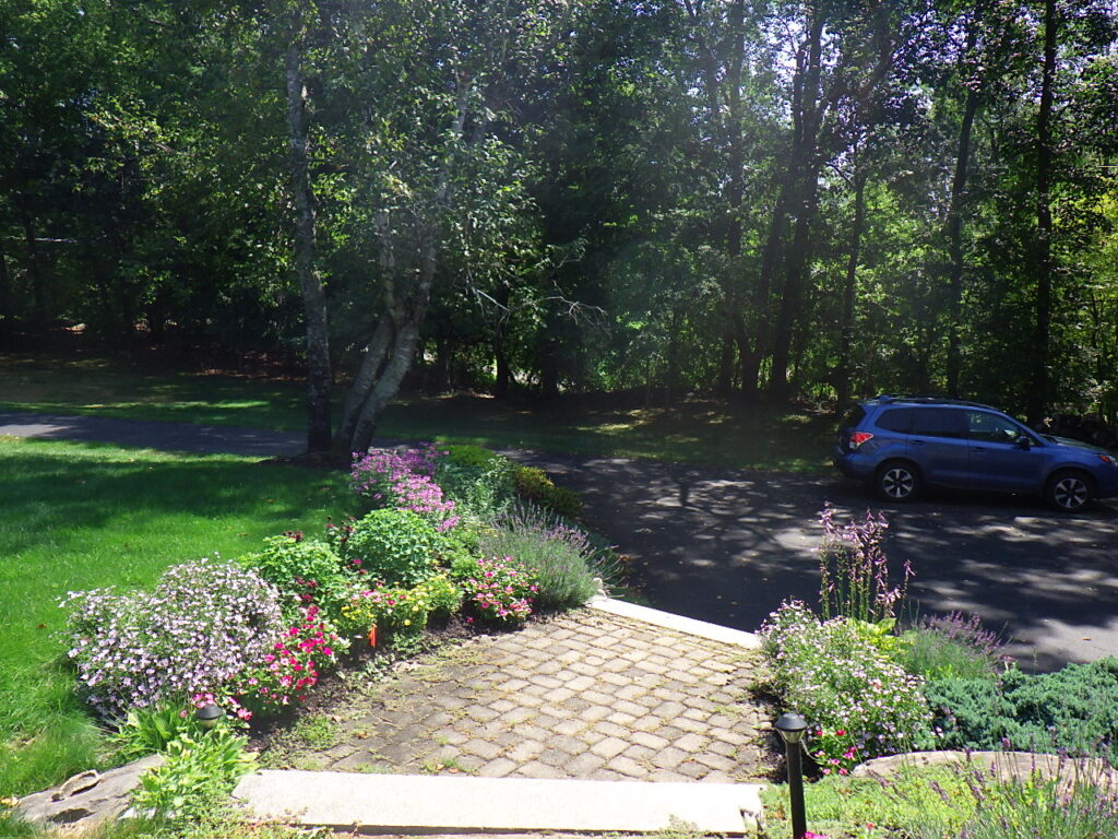 Garden Bonanza Transformation in Nashua, NH