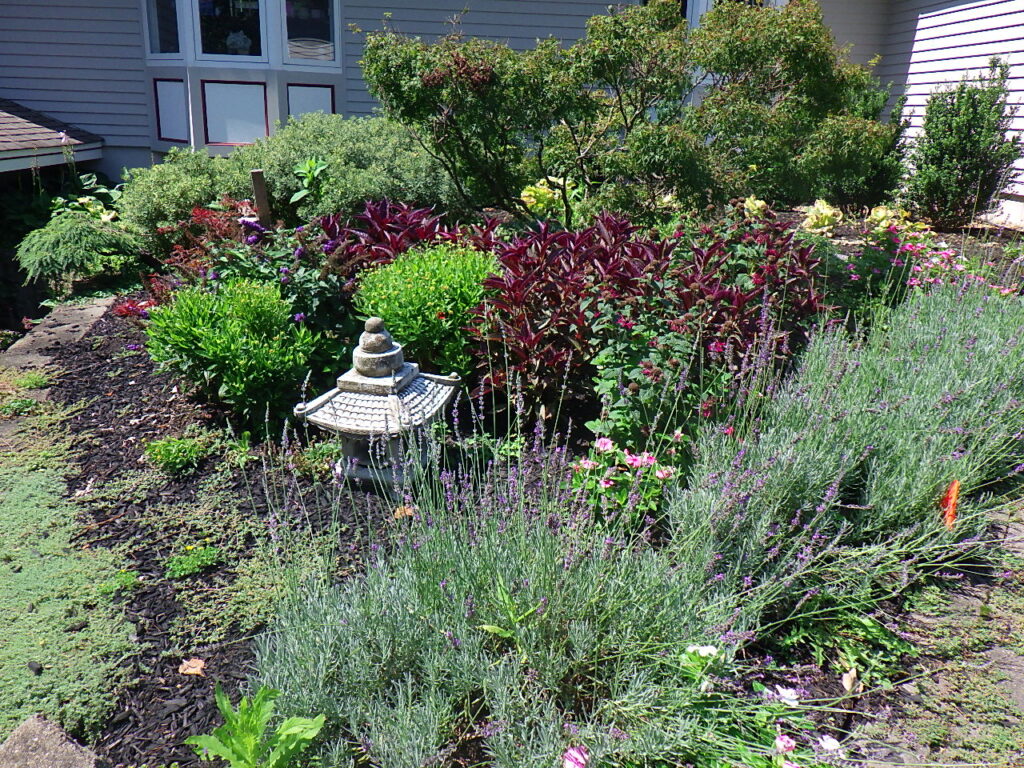Garden Bonanza Transformation in Nashua, NH
