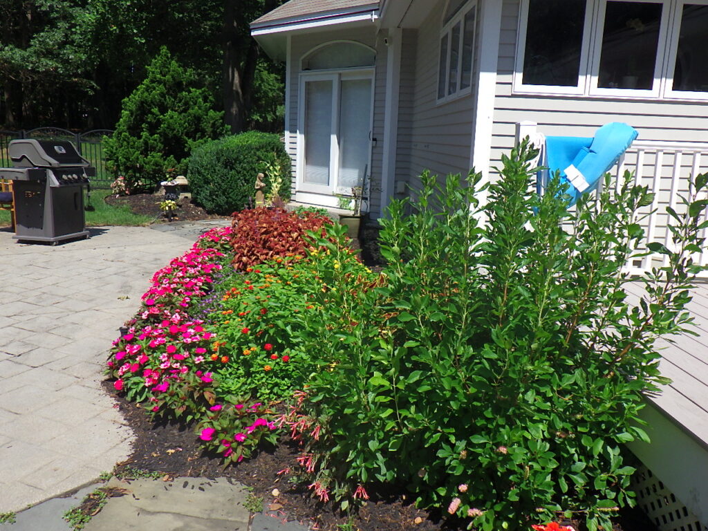 Garden Bonanza Transformation in Nashua, NH