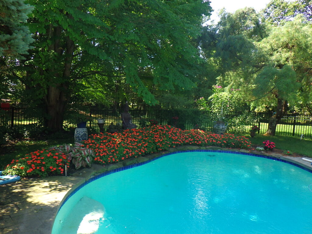 Garden Bonanza Transformation in Nashua, NH