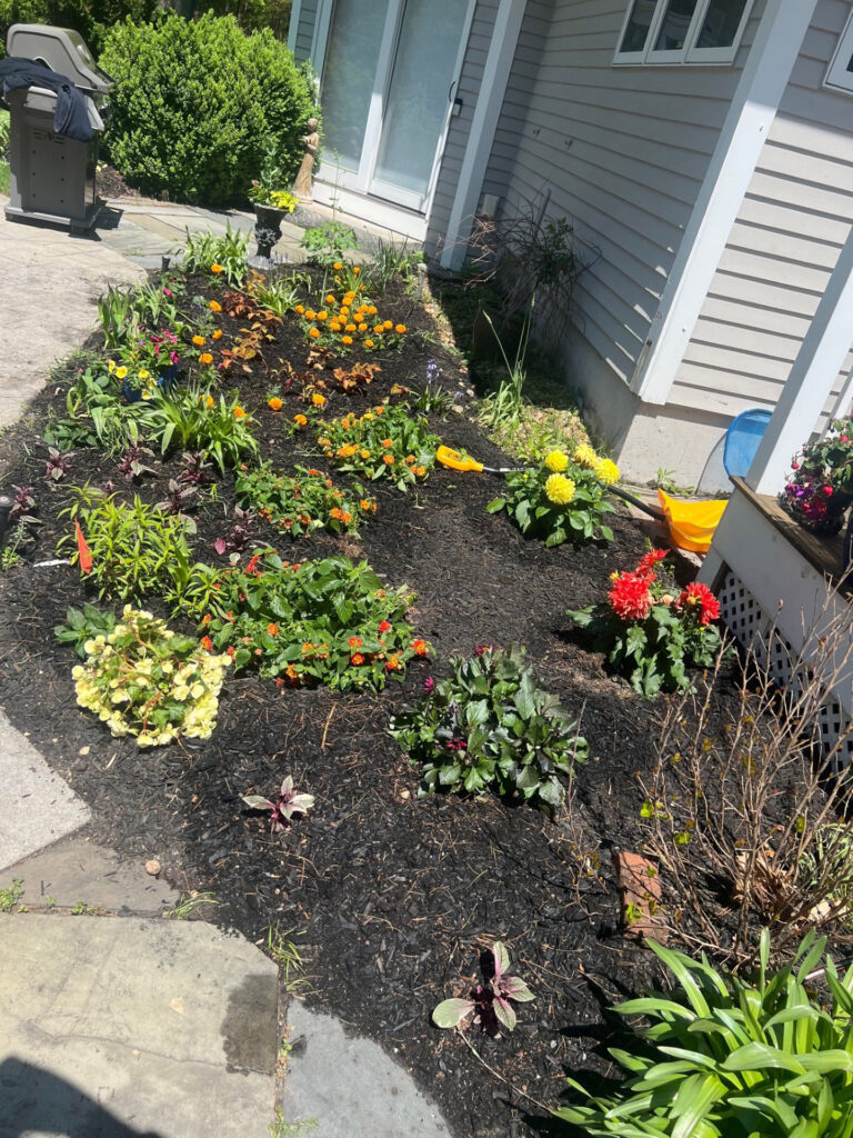 Garden Bonanza Transformation in Nashua, NH