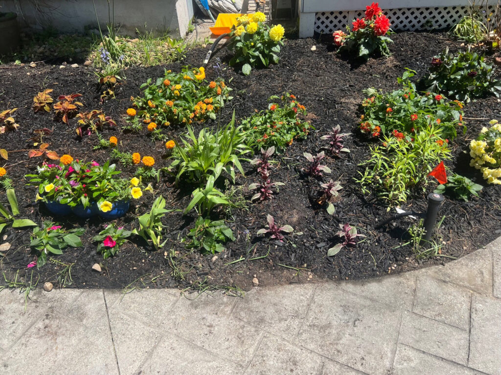Garden Bonanza Transformation in Nashua, NH
