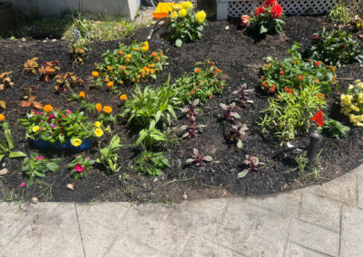 Garden Bonanza Transformation in Nashua, NH