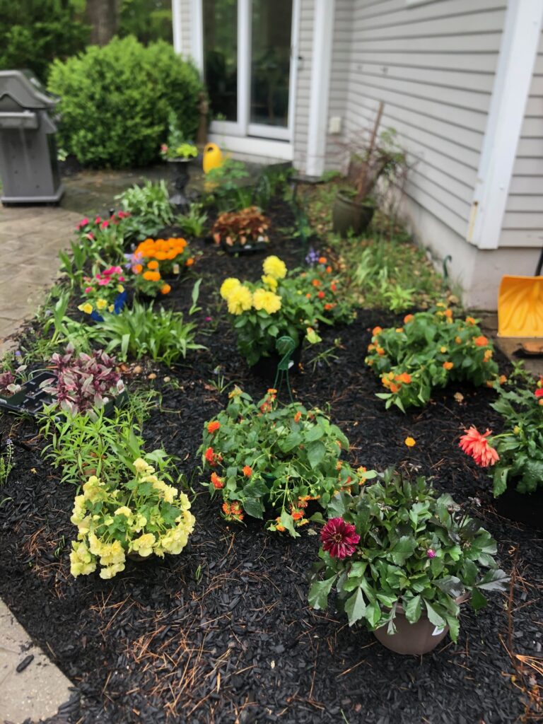Garden Bonanza Transformation in Nashua, NH