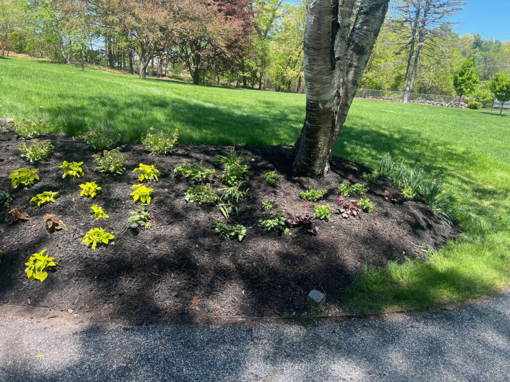 Garden Bonanza Transformation in Nashua, NH