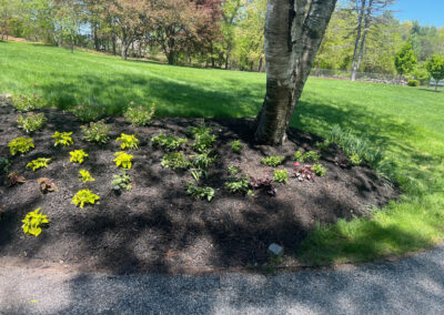 Garden Bonanza Transformation in Nashua, NH