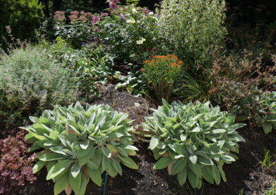 Garden Installation and Garden Design in Nashua, NH