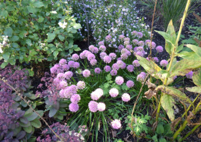 Garden Installation and Garden Design in Nashua, NH