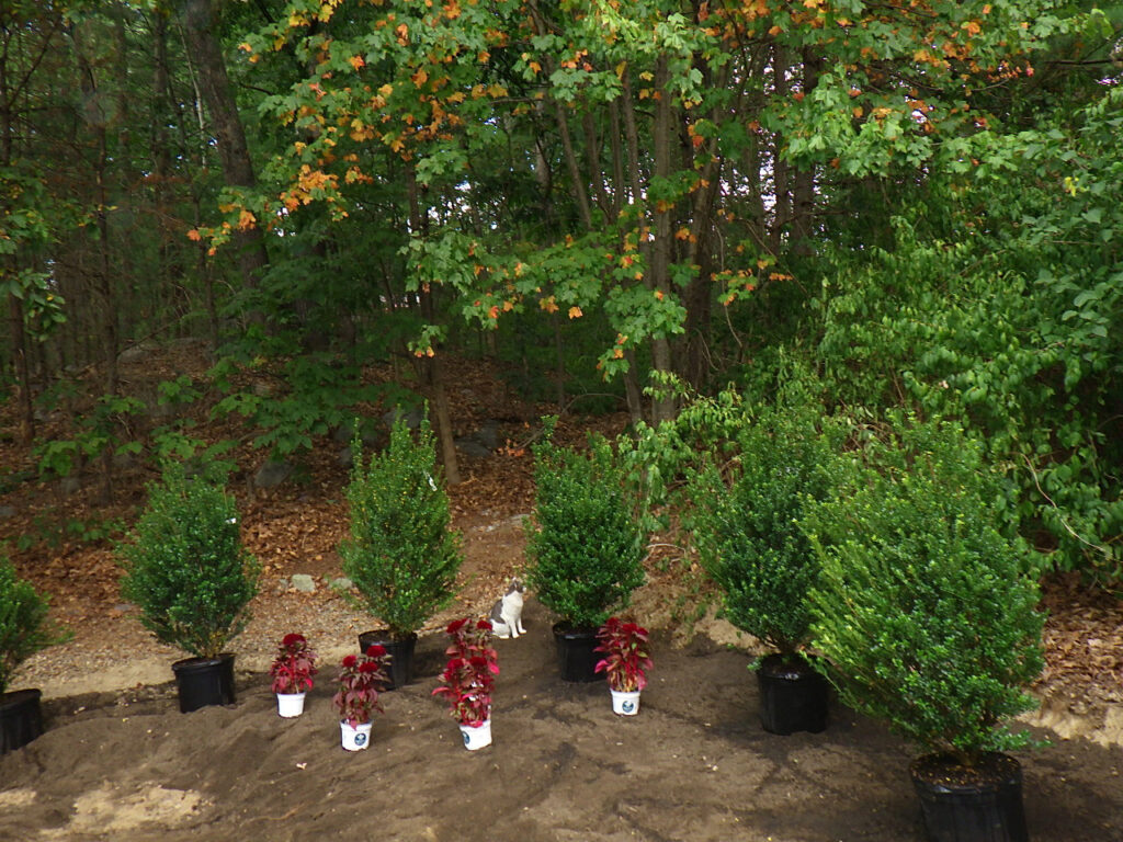 Garden Design Pelham, NH 1 (2)