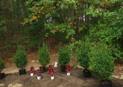 Garden Design Pelham, NH 1 (2)
