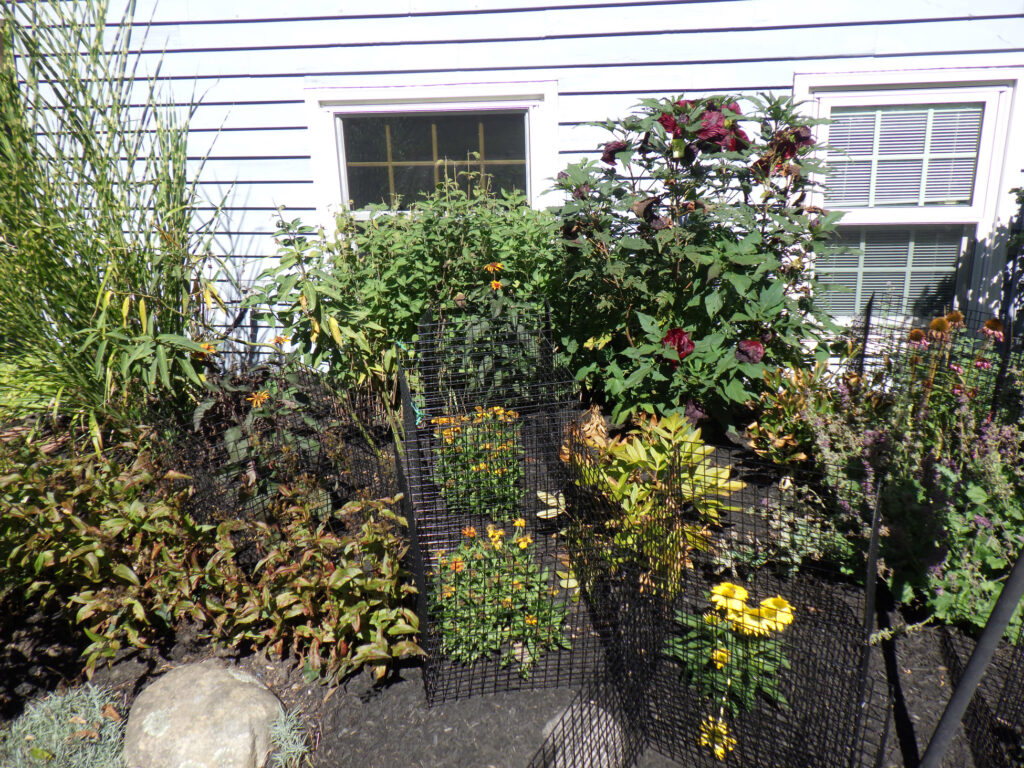 Garden Design and Maintenance in Pepperell, MA