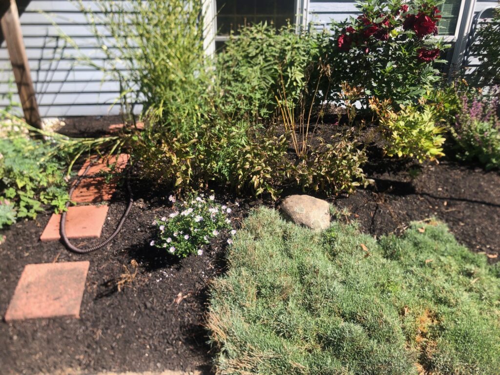 Garden Design and Maintenance in Pepperell, MA