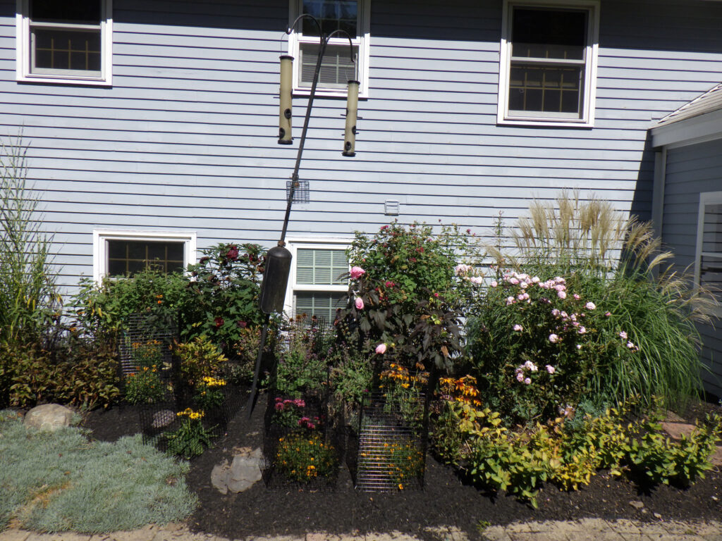 Garden Design and Maintenance in Pepperell, MA