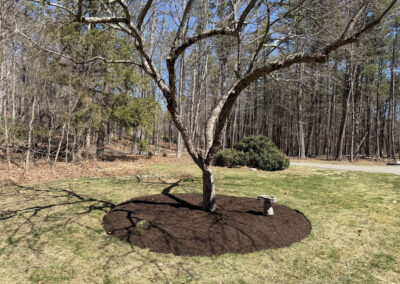 Garden Maintenance & Spring Cleanup in Townsend, MA